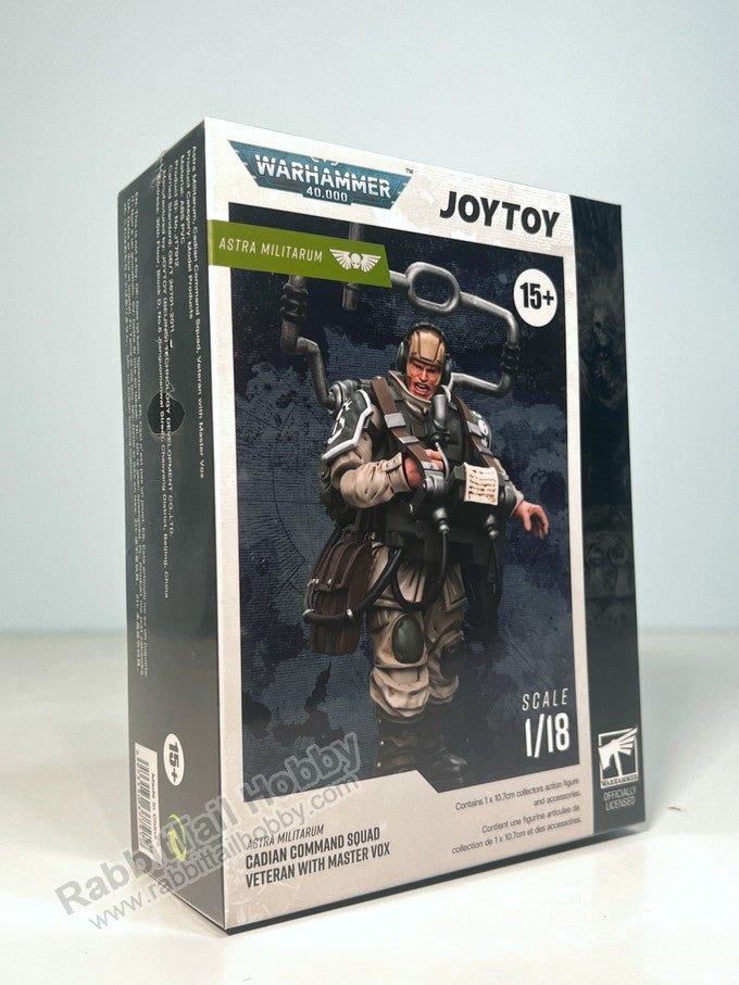 JOYTOY Warhammer 40k Astra Militarum Cadian Command Squad Veteran with Master Vox 1/18 Scale Action Figure