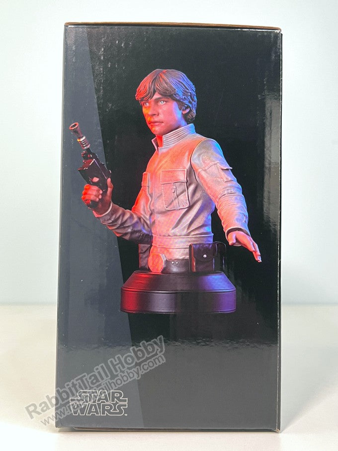 DIAMOND SELECT TOYS Luke 1/6 Bust - Star Wars The Empire Strikes Back Scale Figure