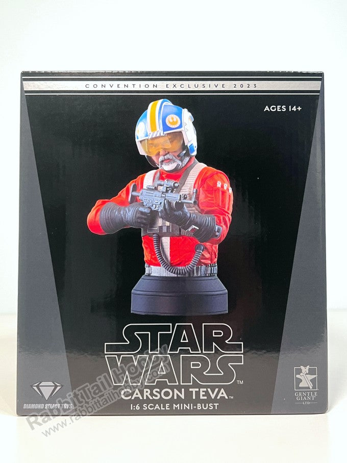 DIAMOND SELECT TOYS Carson Teva 1/6 Bust SDCC 2023 Limited Edition - Star Wars The Mandalorian Scale Figure